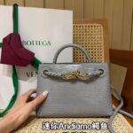 Сумка Bottega Veneta Andiamo 13428