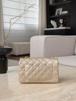 Сумка Chanel 13565 — внешний вид
