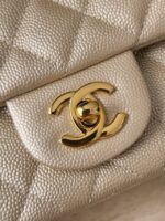 Сумка Chanel 13565 — дополнительный вид