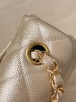Сумка Chanel 13565 — детали модели