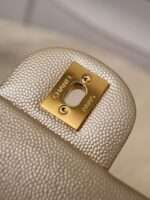 Сумка Chanel 13565 — вид модели