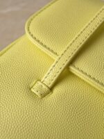 Сумка Chanel 13569 — детали модели
