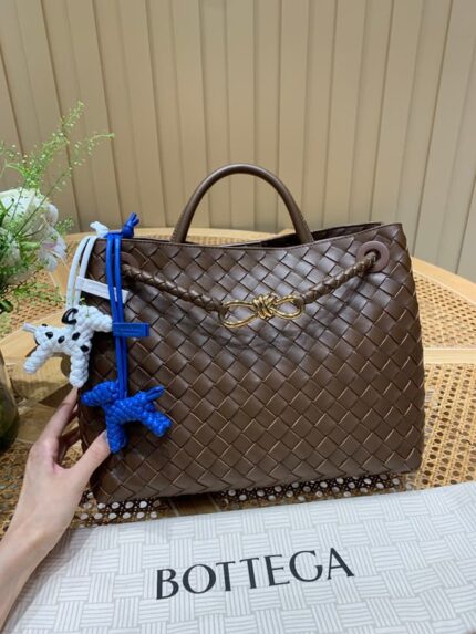 Сумка Bottega Veneta Andiamo 13396